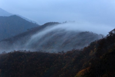 滝雲モドキ