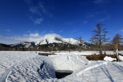 上田代から至仏山