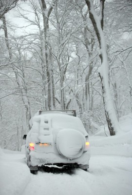 奥入瀬のランクル