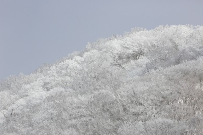 黒檜山