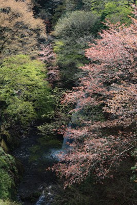 不動の滝