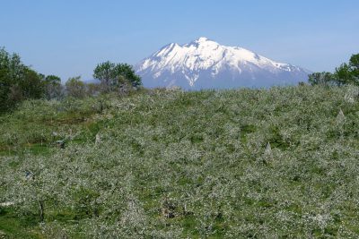 お岩木山