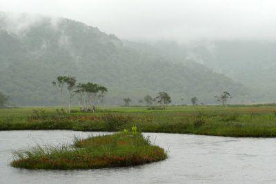 中田代