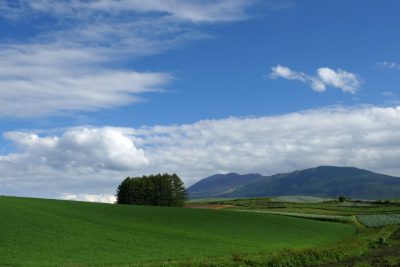 田代